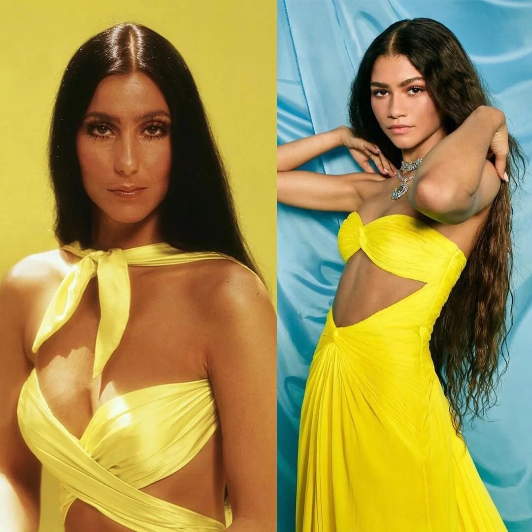 Cher 70's costumes 2025